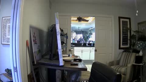 DirtkPitt Fun guy working online show from January 3, 4:37 pm