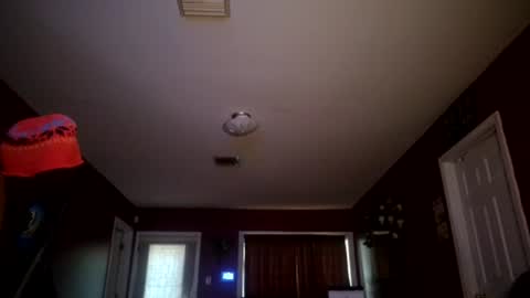 disabilty_dick970362022 online show from July 6, 2:36 pm