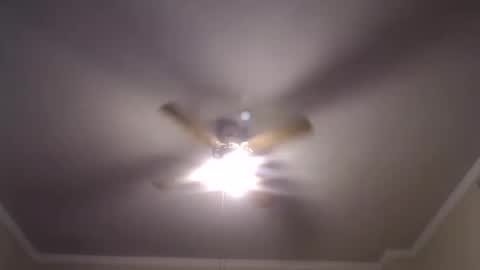 Your Best Worst Nightmare online show from February 1, 7:26 am