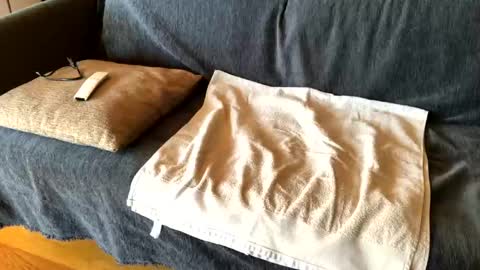 Snapshot of donizetti2017 chatting on February 21, 8:28 am Alfredo online show from February 21, 8:28 am