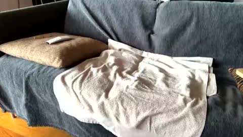 Snapshot of donizetti2017 chatting on February 24, 9:53 am Alfredo online show from February 24, 9:53 am