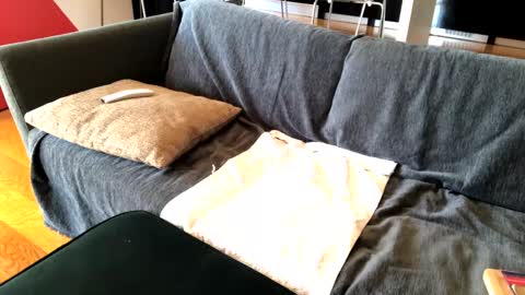 Snapshot of donizetti2017 chatting on March 6, 9:14 am Alfredo online show from March 6, 9:14 am