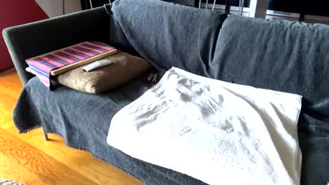 Snapshot of donizetti2017 chatting on February 17, 9:46 am Alfredo online show from February 17, 9:46 am