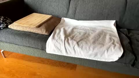 Snapshot of donizetti2017 chatting on October 1, 8:18 am Alfredo online show from October 1, 8:18 am