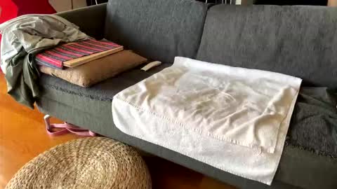 Snapshot of donizetti2017 chatting on September 22, 8:03 am Alfredo online show from September 22, 8:03 am