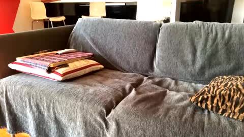 Snapshot of donizetti2017 chatting on February 4, 10:21 am Alfredo online show from February 4, 10:21 am