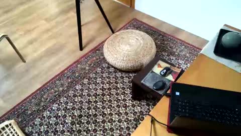 Snapshot of donizetti2017 chatting on February 2, 2:24 pm Alfredo online show from February 2, 2:24 pm