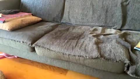 Snapshot of donizetti2017 chatting on September 19, 10:59 am Alfredo online show from September 19, 10:59 am