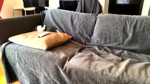 Snapshot of donizetti2017 chatting on March 10, 7:55 am Alfredo online show from March 10, 7:55 am