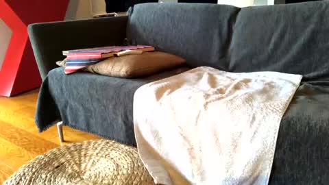 Snapshot of donizetti2017 chatting on February 13, 11:28 am Alfredo online show from February 13, 11:28 am