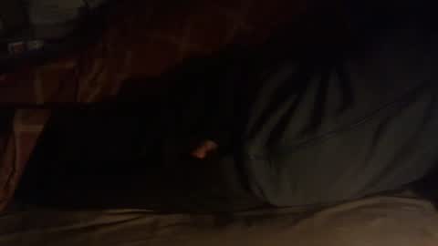 Hello  welcome to Slutsville  I am the Naked Chef  really  but you may call me Peter online show from January 17, 7:08 am