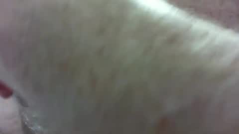 dreamer00000032 online show from March 4, 2:27 am