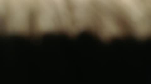 Snapshot of ductorfeelgood chatting on March 1, 7:15 pm swiss kiss online show from March 1, 7:15 pm