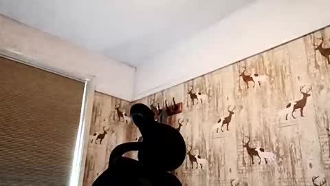 dulac81 online show from September 19, 9:53 am