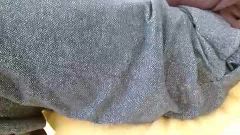 dunany101 online show from March 11, 6:15 pm