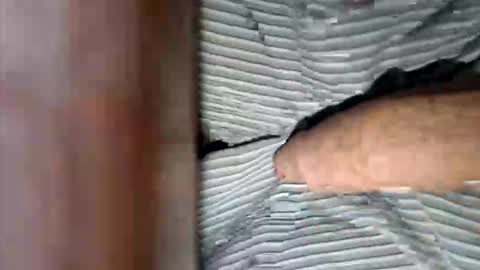 dVe1oPe online show from January 12, 9:57 am