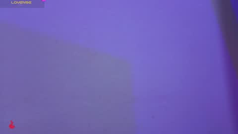 D Y L A N online show from January 10, 12:27 am