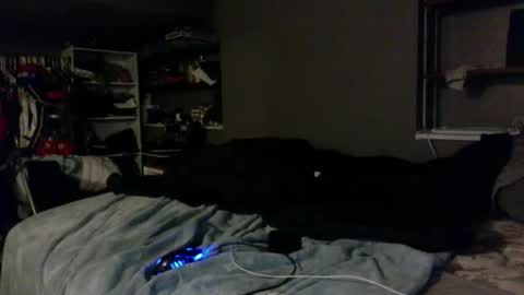 Snapshot of dynasty801 chatting on October 23, 8:40 am nastyboi801 online show from October 23, 8:40 am