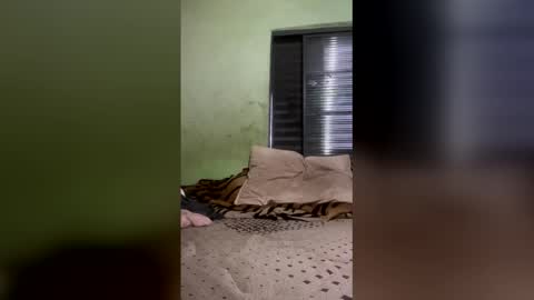 edux244 online show from April 18, 12:39 pm