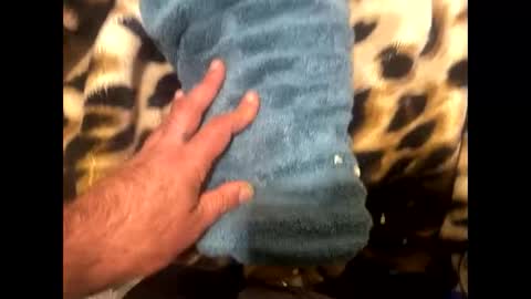 ehdgher online show from November 1, 3:05 pm