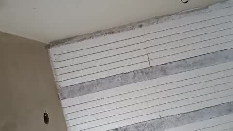 Sebastin online show from September 15, 6:15 am