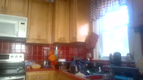 EL-Disiac online show from March 8, 5:19 pm