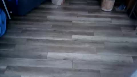 elgato2025 online show from February 20, 9:49 pm