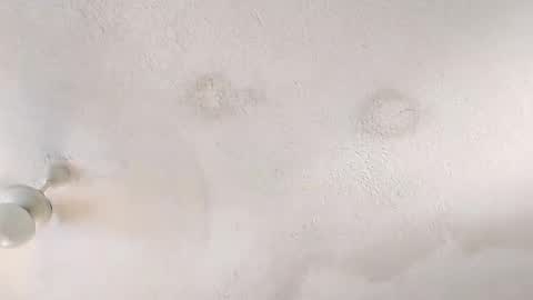 Estoy usando Telegram  online show from February 6, 4:25 pm