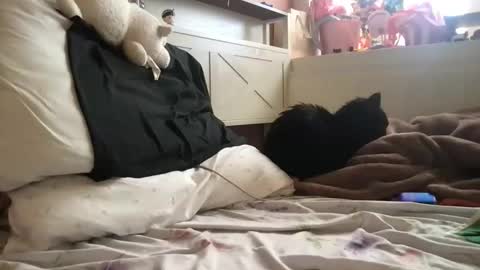 Snapshot of epicnutsz chatting on October 23, 1:58 pm epicstrokesz online show from October 23, 1:58 pm