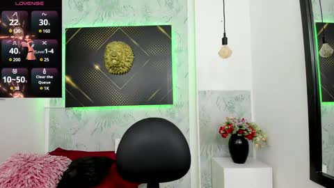 Snapshot of erick_zhimerman chatting on January 21, 4:00 am   online show from January 21, 4:00 am