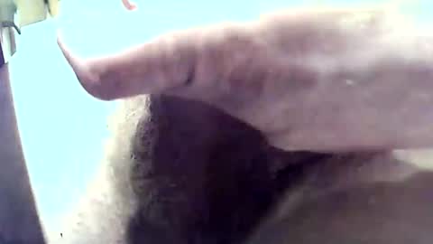 ericw56 online show from February 15, 3:39 pm