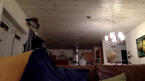 eros online show from December 13, 1:59 am