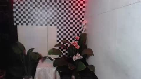 im esward tynn online show from December 22, 3:25 am