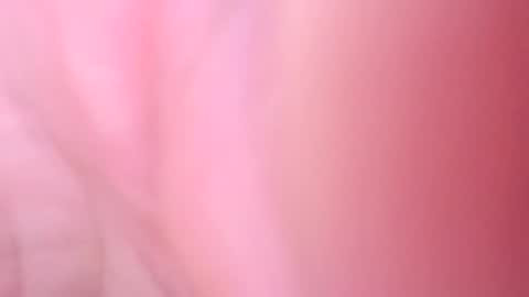 Justin69  online show from September 23, 10:42 pm