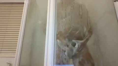 Snapshot of etextratestacle chatting on January 2, 5:18 pm ET online show from January 2, 5:18 pm