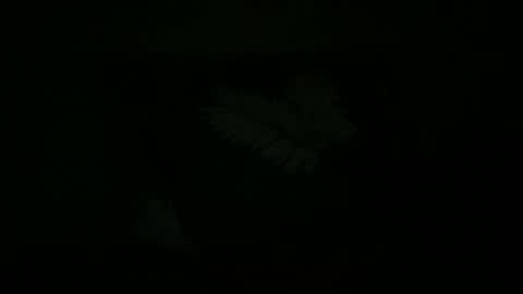 FABX online show from October 18, 1:21 am