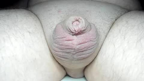 Fatmanscock online show from February 7, 2:29 am