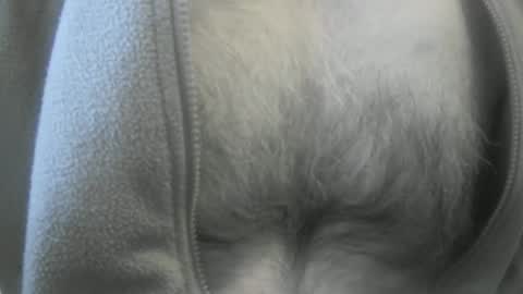 feardubh online show from January 19, 3:53 pm