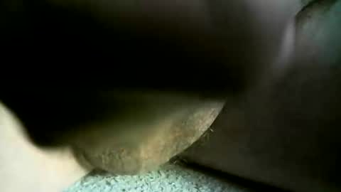 felicaste online show from March 3, 12:10 pm