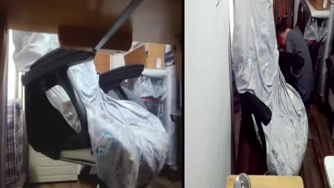 felixlau online show from March 18, 10:18 am