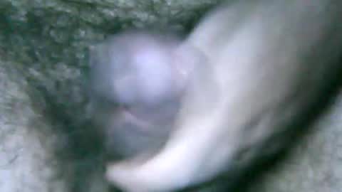 fer_2197 online show from February 6, 1:54 pm