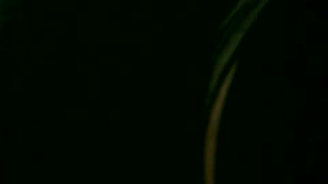 fer_2197 online show from January 18, 12:17 am