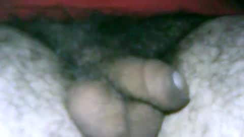 fer_2197 online show from January 14, 12:35 pm