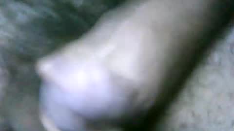 fer_2197 online show from February 18, 2:06 pm