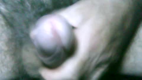 fer_2197 online show from June 17, 6:53 pm