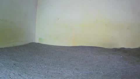 Fern Tlk online show from January 26, 7:41 pm