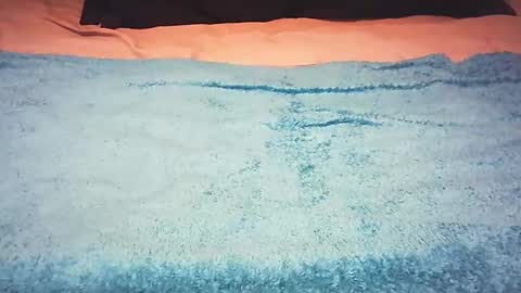 bbbbCock online show from February 18, 12:17 pm