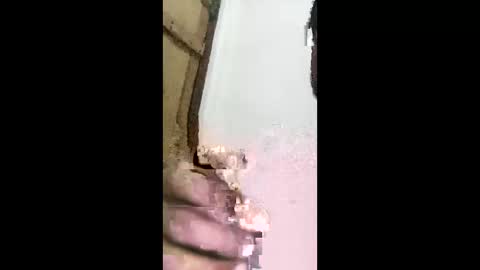 fiansy online show from March 21, 5:50 pm