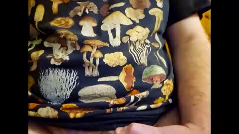 flamazine95 online show from November 15, 12:51 pm