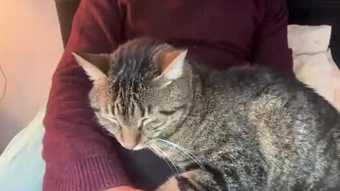 firesoul online show from March 4, 2:02 pm